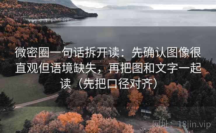 微密圈一句话拆开读：先确认图像很直观但语境缺失，再把图和文字一起读（先把口径对齐）